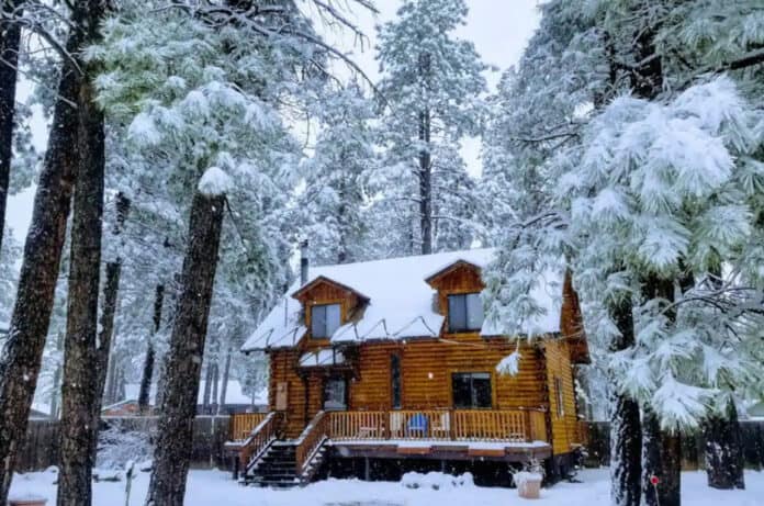 The Basecamp Cozy Cabin