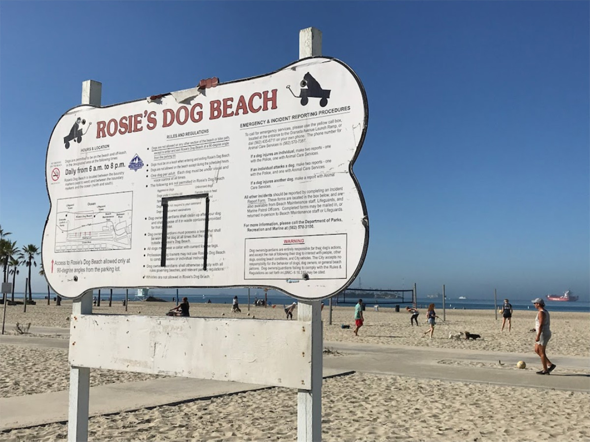 dog friendly beaches los angeles - rosies